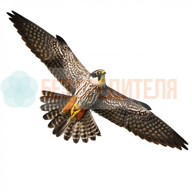 Визуальный отпугиватель птиц Хищник 2